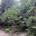 Изключителна резиденция в историческото сърце на София